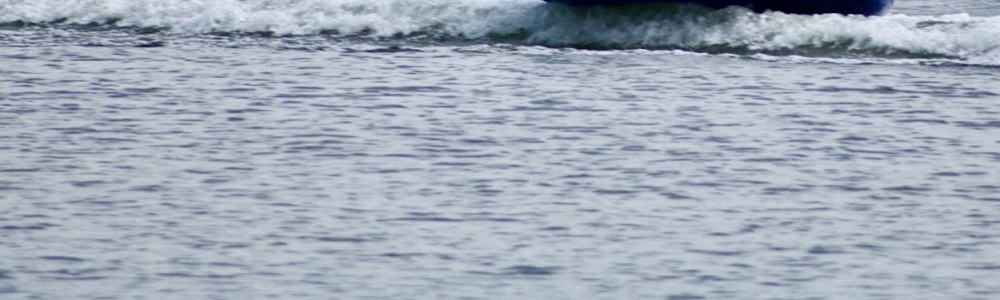User banner image