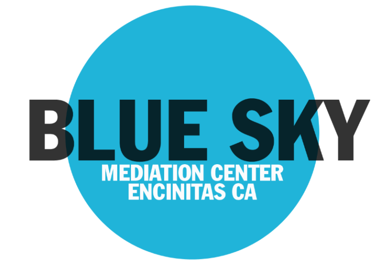 bluemediation logo 768x528